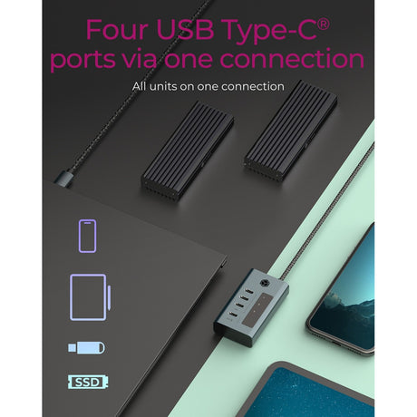 Icy Box ib-hub1454-c31 USB-Hub (grau blau-grau, 4x USB-C 3.2 (10 Gbit s))