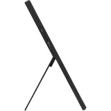 Asus Zenscreen MB16AHV 15,6 Monitor (schwarz, Mini-HDMI, 2x USB-C)