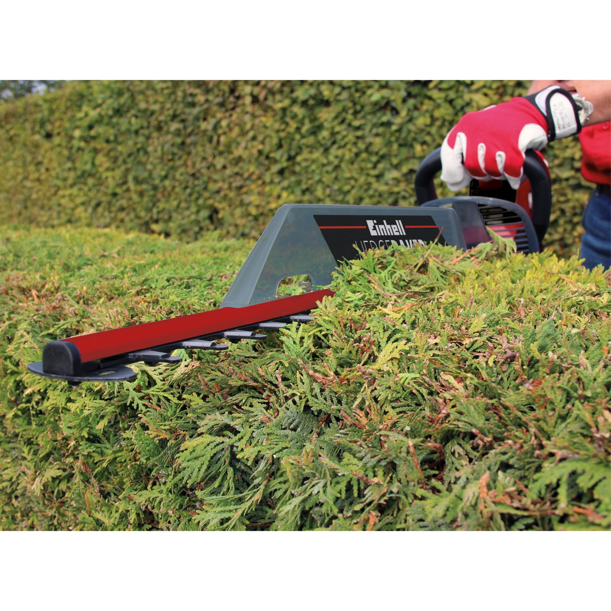Einhell Hedge Trimmer GC-EH 6055 1