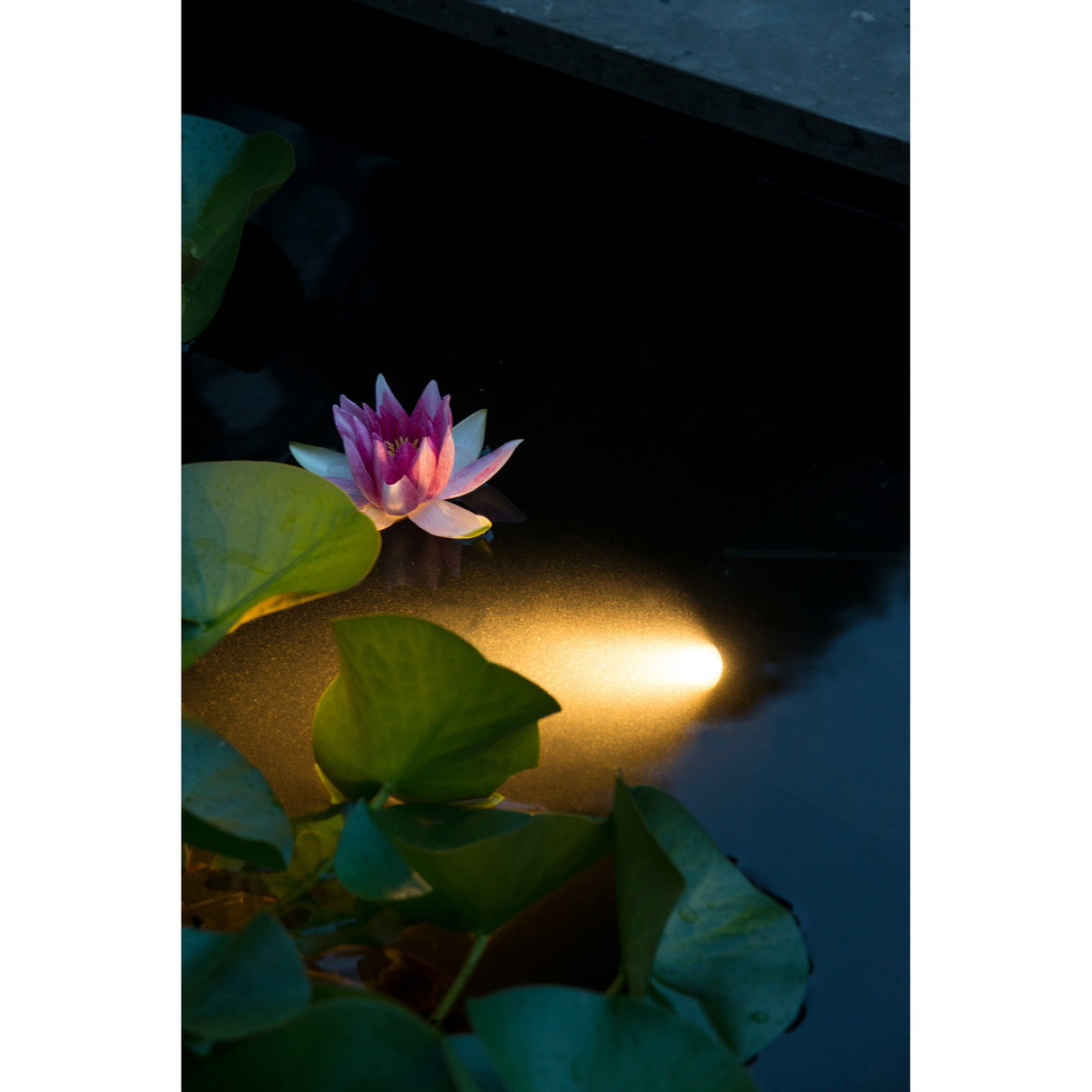 Ubbink Aquaspotlight LED Unterwasserbeleuchtung