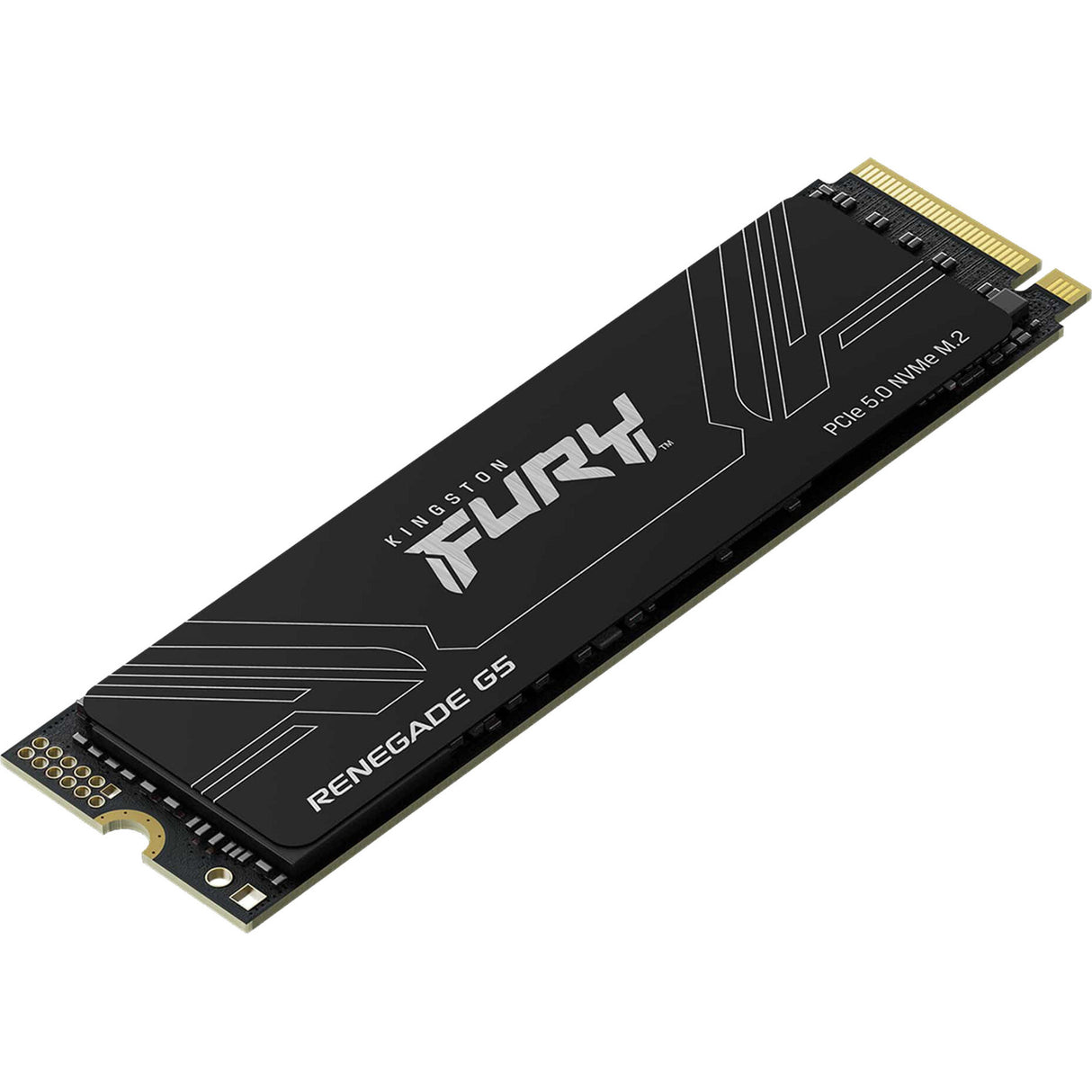 Kingston Renegade G5 4 TB SSD (Schwarz, Sfyr2S 4T0, PCIe 5.0 x4, NVMe, M.2 2280)