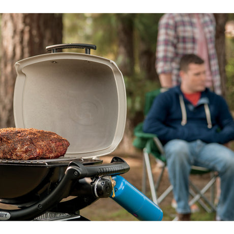 Weber erhöhter Grillrost – klein