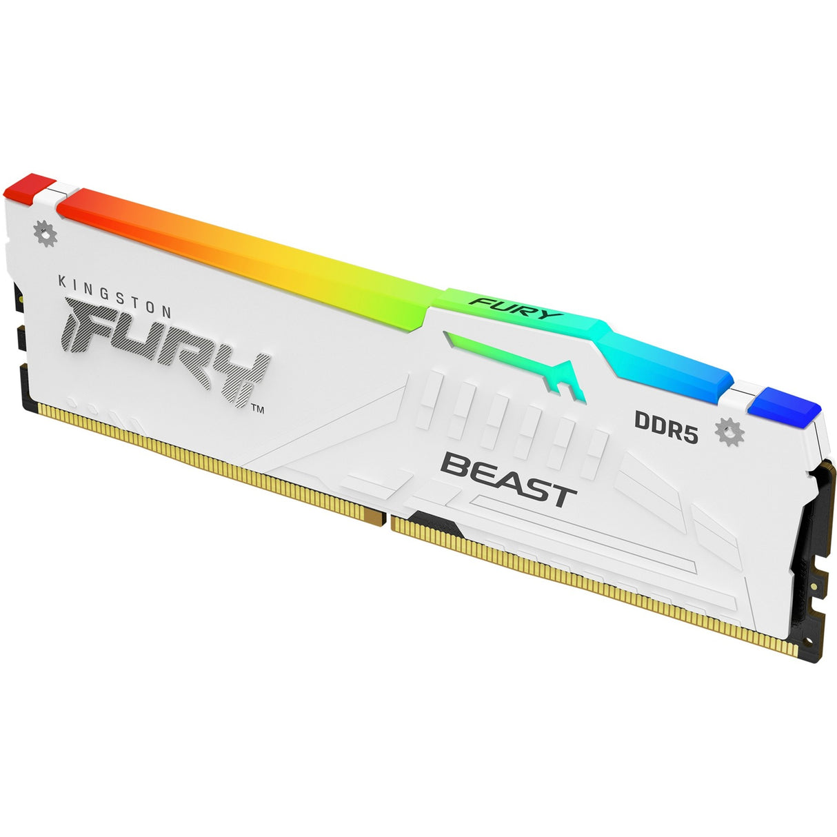 Kingston Fury Kingston Fury 16 GB DDR5-5600