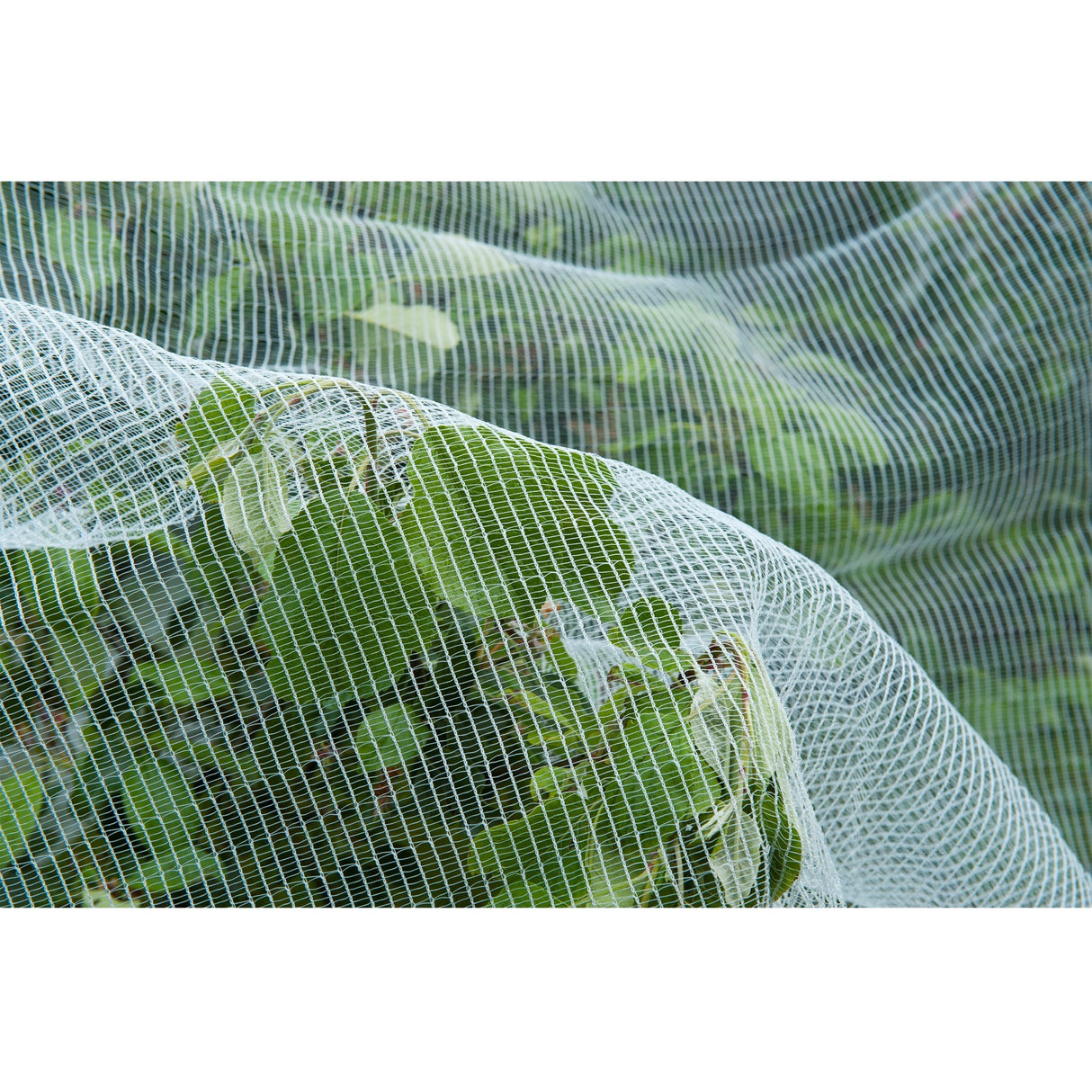 Naturesektennetz, feinmeshed