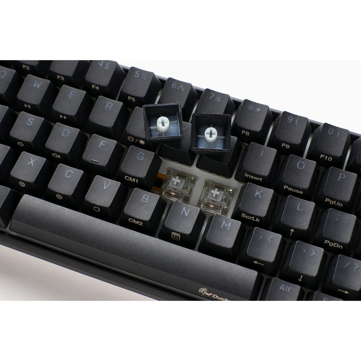 Ducky Ducky One 3 sf