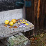 Theo Klein Bosch Gartenspielset mit Schubkarrenspielgerät (4-teilig)