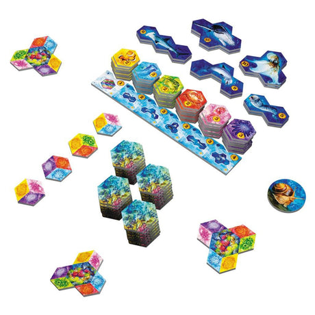 Ty European Player Network Aqua: Biodiversi in the Oceans Brettspiel (englisch, 1 – 4 Spieler, 30 – 45 Minuten, ab 8 Jahren)