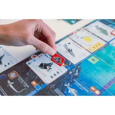 999Games 999 Games Finspan Brettspiel (niederländisch, 1 - 5 Spieler, 60 Minuten, ab 10 Jahren)