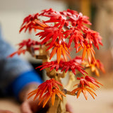 Lego Botanicals 10348 Japanischer Ahorn-Bonsai-Baum