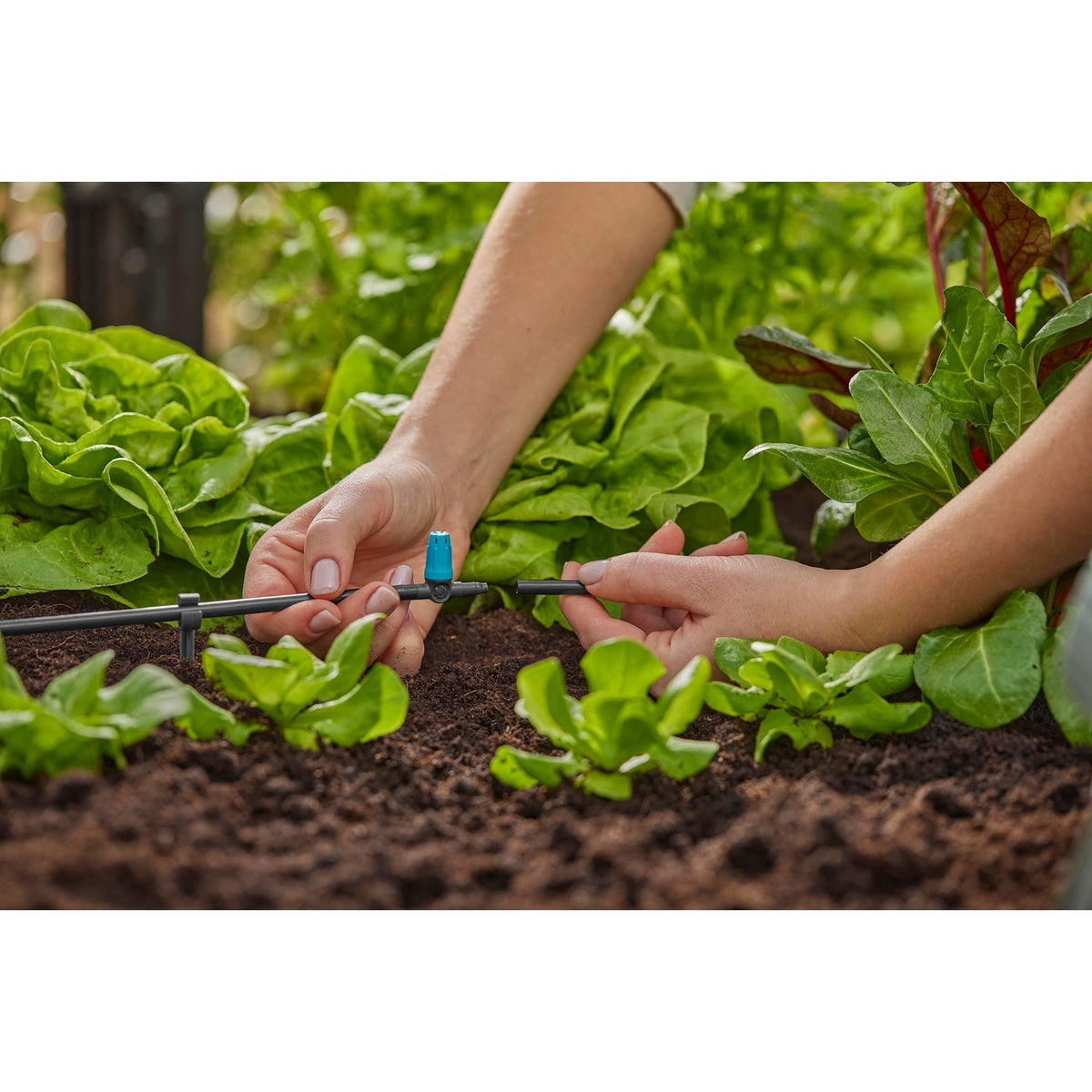Gardena Sprinkler für kleine Flächen (schwarz türkis)