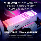 Kingston Fury Kingston Fury 16 GB DDR5-5600