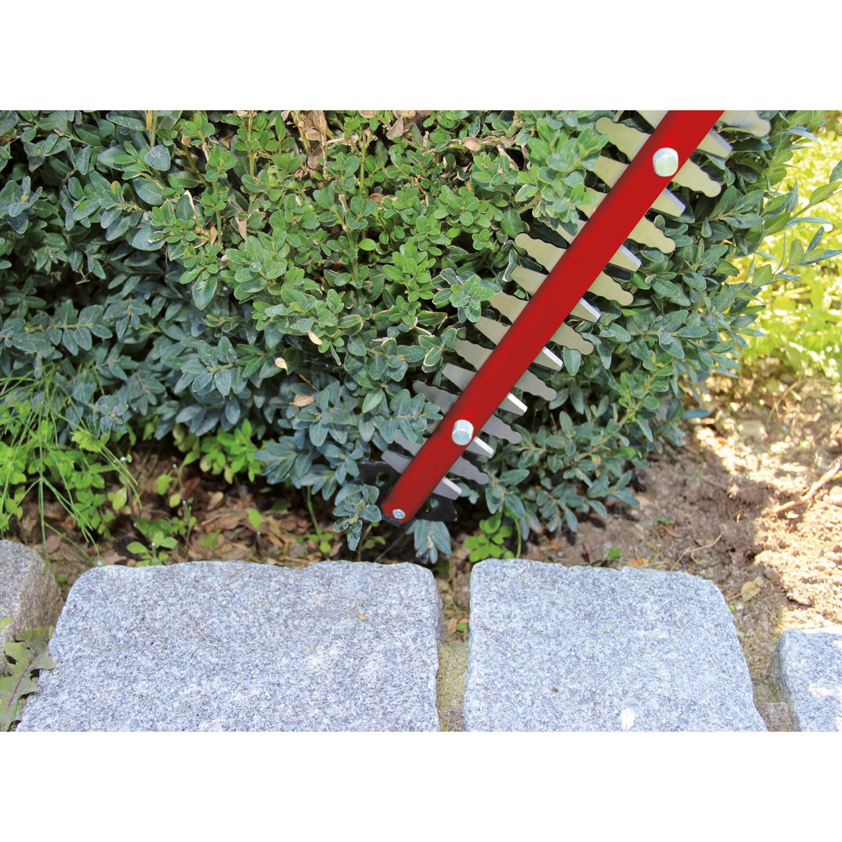 Einhell Hedge Trimmer GC-EH 6055 1