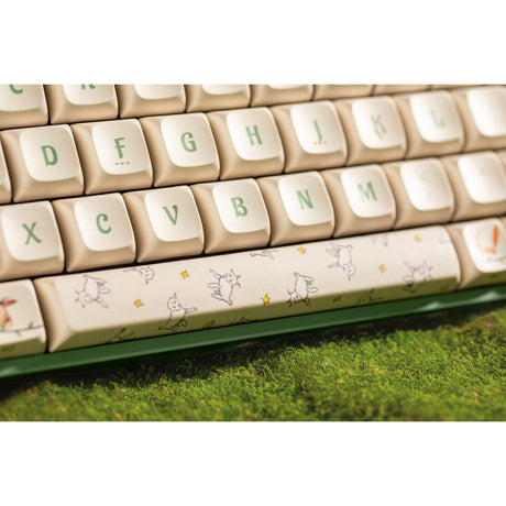 Iqunix F97 Floral Date RGB mechanische Gaming-Tastatur (grün, US-Layout (QWERTY), Iqunix Little Prince, 96 %, RGB-LEDs, Hot-Swap-fähig, PBT, 2,4 GHz | Bluetooth 5.1 | USB-C)
