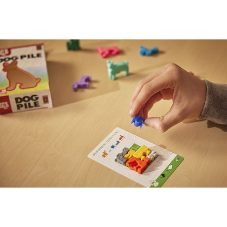 999games 999 Games Hundehaufen-Denkspiel (niederländisch, 1 Spieler, ab 7 Jahren, 48 Aufgaben)