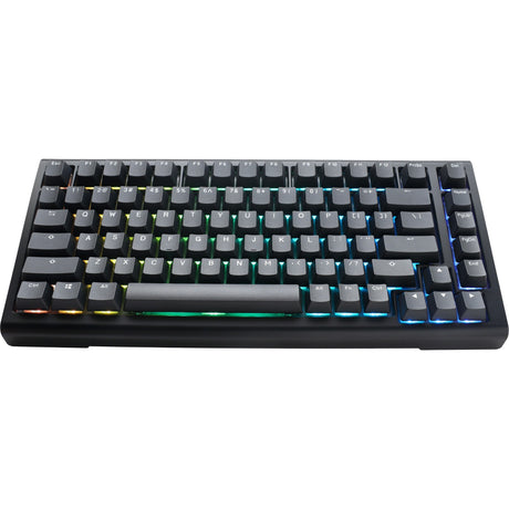 Ducky Projectd Tinker 75 mit QMK über mechanische RGB-Tastatur (Schwarz, US-Layout (QWERTY), Cherry MX Blue, 75 %, RGB-LEDs, Double-Shot-PBT, Hot-Swap-fähig, Dichtungsmontage)
