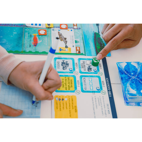 999Games 999 Games Finspan Brettspiel (niederländisch, 1 - 5 Spieler, 60 Minuten, ab 10 Jahren)