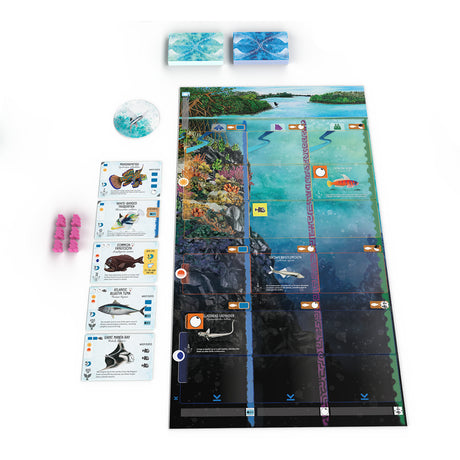 999Games 999 Games Finspan Brettspiel (niederländisch, 1 - 5 Spieler, 60 Minuten, ab 10 Jahren)