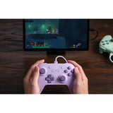8bitdo Ultimate 2C kabelgebundenes Gamepad (lila)