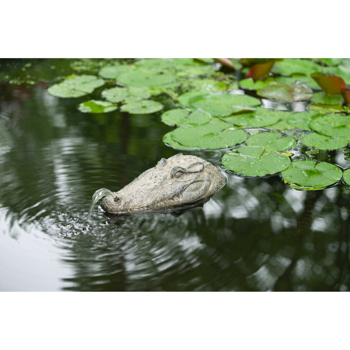 Ubbink schwimmende Sprühfigur mit Krokodilkopf-Wasserspiel