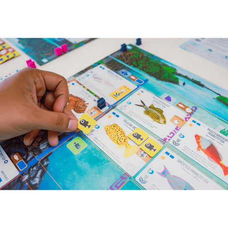999Games 999 Games Finspan Brettspiel