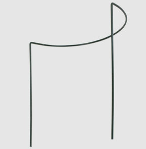 Greenmill steun voor wijnstokken 35 x100cm halfcirkelvormig