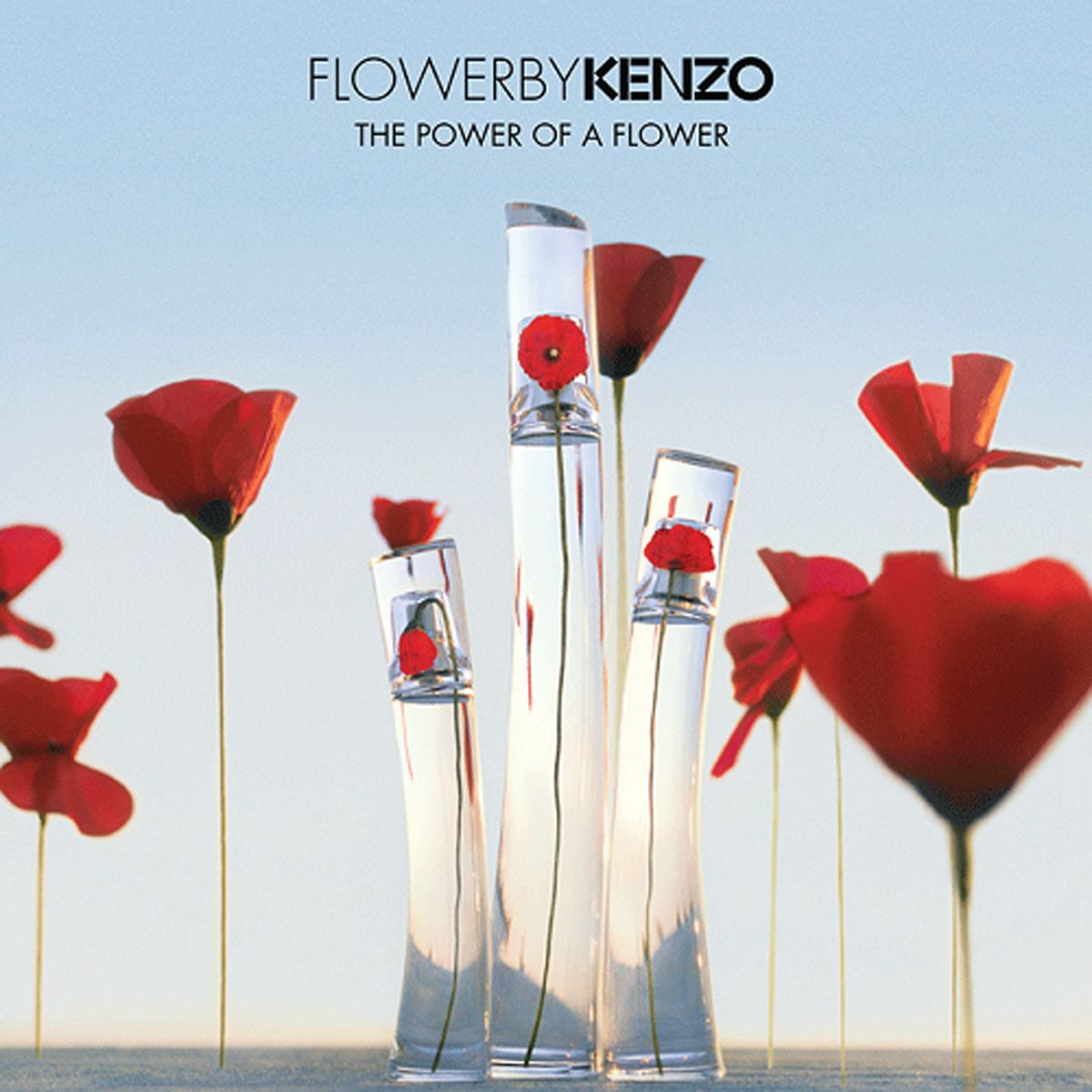 Kenzo Flower Eau de Parfum Spray 50 ml Damen