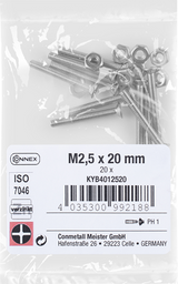 Connex-Metallschraube PK M2,5 x 20 VZ PH 20 Stück – KYB4012520