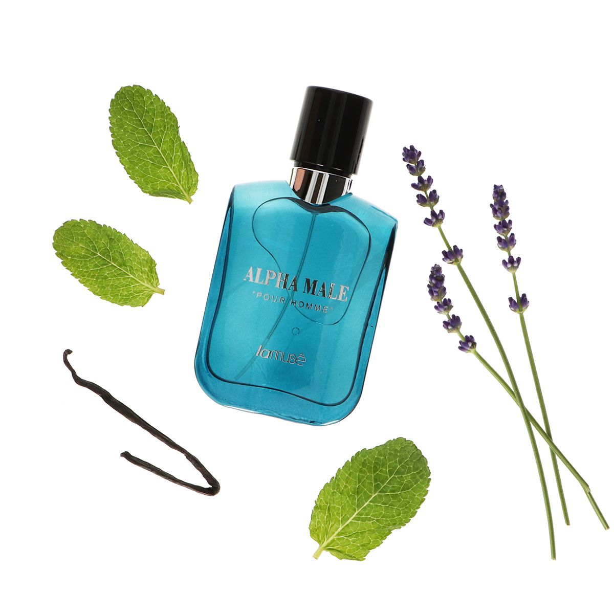 Lamusê Lamuse Eau de Toilette Spray Herren Alpha Male für Herren 100 ml