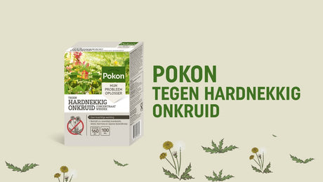 Pokon-Produkte gegen hartnäckiges Unkraut, Konzentrat 100 ml, Weedex