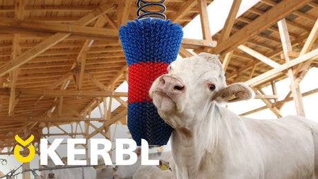 Produkte Happycow Rinderbürste Flexiswing