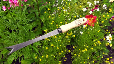 Der Bio-Löwenzahnschneider von White Products mit Eschenstiel, 14 cm, entweißt