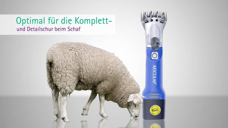 Aesculap Econom Produkte Schafschermaschine Econom Akku Plus1 Akku 1