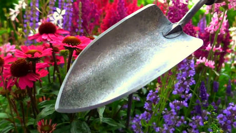 Die weißen Produkte Pflanzenschaufel x Treme Eschenstiel 14 cm dewhite