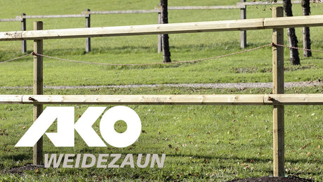 Ako Products Bandspanner Premium V Holzstange Blister 4 Stk