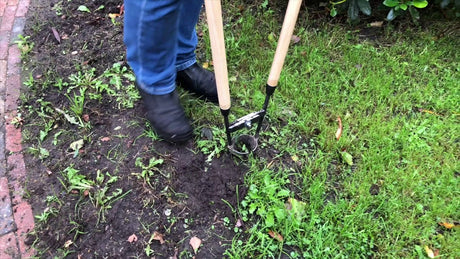 Der Blumenzwiebelpflanzer von White Products mit 2 Eschenstämmen, 75 cm, entweißt