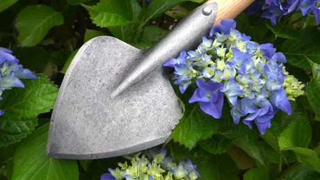 Die weißen Produkte Plantgraafje Kohlpflanze Spaten Asche T Stiel 40 cm dewhite