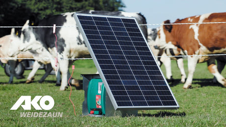 Ako Produkte Duo Power X6000 Smart Energizer 230 V 12 V