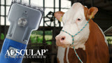 Aesculap Econom Produkte Viehschermaschine Econom Akku Plus2 Batterien 1