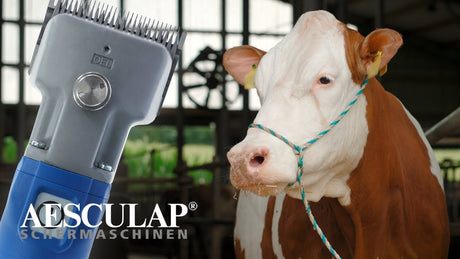 Aesculap Econom Produkte Viehschermaschine Econom Akku Plus2 Batterien 1