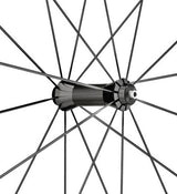 DT Swiss P 1800 Spline 23 mm Vorderrad