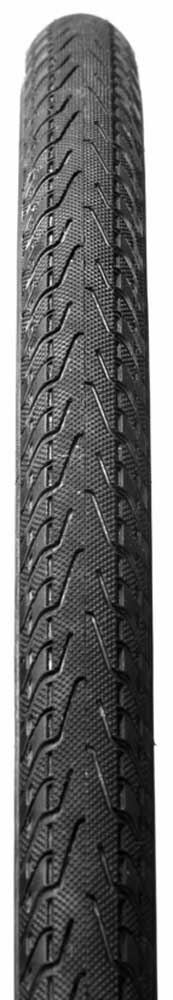 Panaracer Pasela Protite Faltreifen
