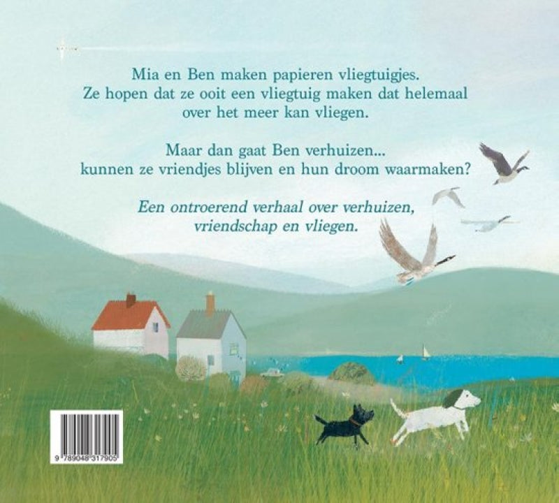 Veltman-Papierflieger