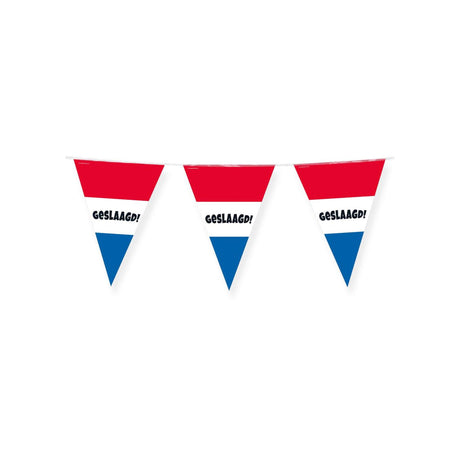 Paperdreams party flags geslaagd rood wit blauw