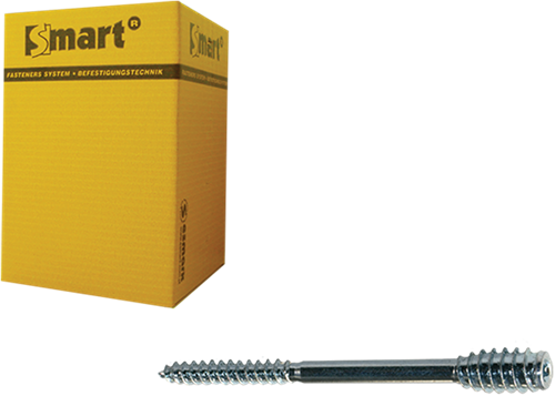 Pgb-europa smart | Distanzschraube T-Antrieb T25 ø 6x180 Zn | 50 Stück sm0ssc0010601803