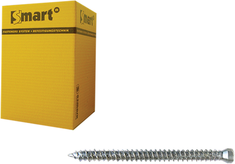 Pgb-europa smart | Rahmenschraube ck-t30 ø 7,50x302 zn | 50 Stück sm0wsc0010753023