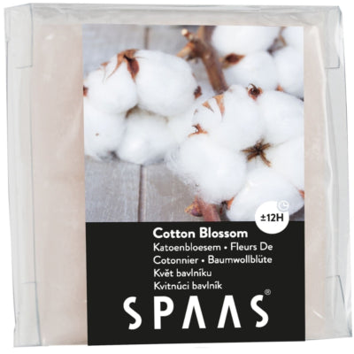 Spaas (r) Wachs schmilzt Baumwollblüte 6,5 cm | 24 Stück
