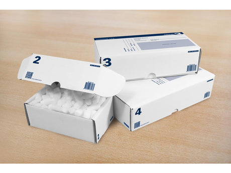 Känguru