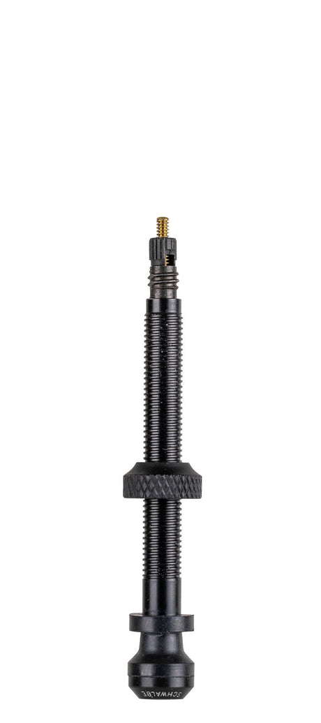 Tubeless Ventil Schwalbe 60 mm (2 Stücke)