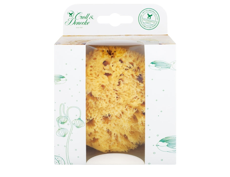 Croll Denecke Naturschwamm in Öko-Geschenkverpackung – Größe L