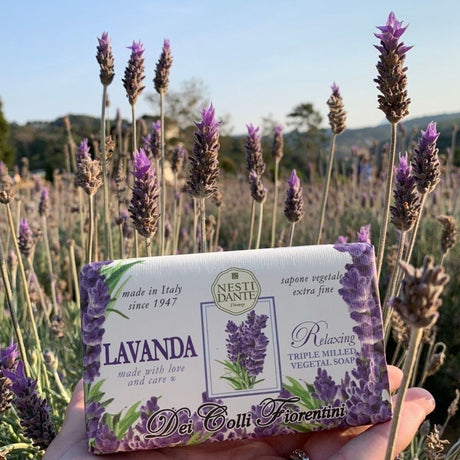 Nesti Dante 6 Stück Fiorentini Lavanda Seife 250gr.